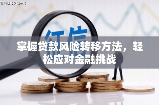 洛扎掌握贷款风险转移方法，轻松应对金融挑战