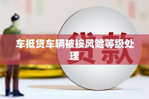 洛扎车抵贷车辆被按风险等级处理