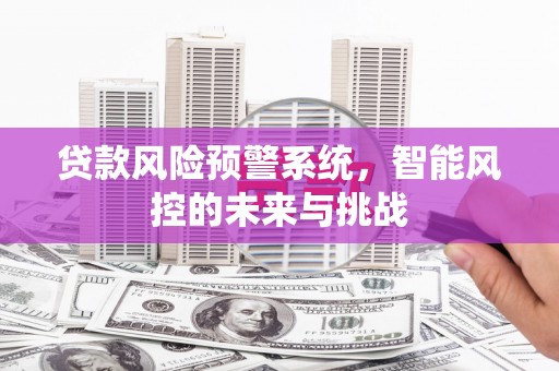 阜宁贷款风险预警系统，智能风控的未来与挑战