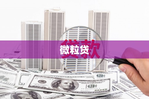 芒市微粒贷