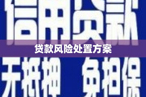 天长贷款风险处置方案