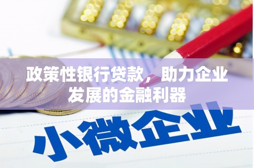 宝兴政策性银行贷款，助力企业发展的金融利器