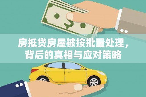 张家港房抵贷房屋被按批量处理，背后的真相与应对策略