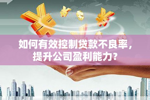 林园如何有效控制贷款不良率，提升公司盈利能力？