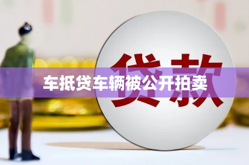 阳朔车抵贷车辆被公开拍卖