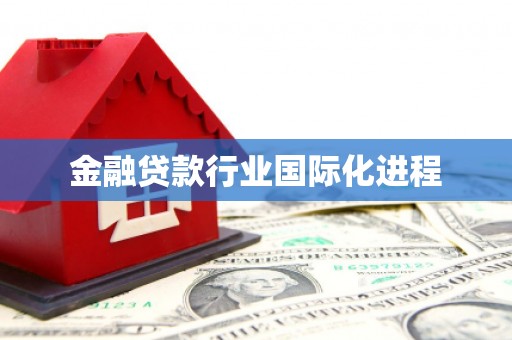 融安金融贷款行业国际化进程