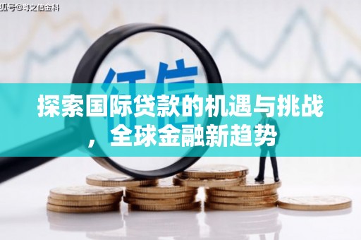 纳溪探索国际贷款的机遇与挑战，全球金融新趋势