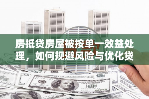宽甸房抵贷房屋被按单一效益处理，如何规避风险与优化贷款策略