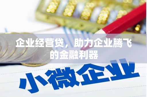 甘洛企业经营贷，助力企业腾飞的金融利器