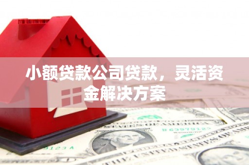 固原小额贷款公司贷款，灵活资金解决方案