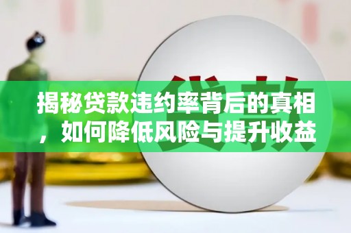 阳城揭秘贷款违约率背后的真相，如何降低风险与提升收益