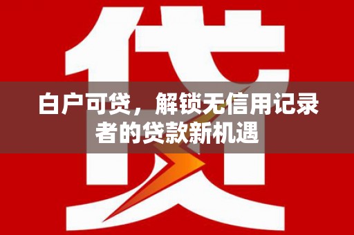 亭湖白户可贷，解锁无信用记录者的贷款新机遇