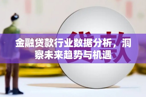 金昌金融贷款行业数据分析，洞察未来趋势与机遇