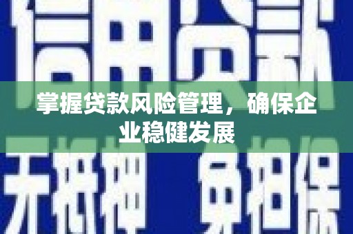 林芝掌握贷款风险管理，确保企业稳健发展