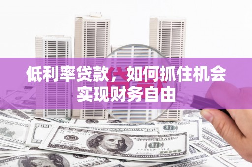 定日低利率贷款，如何抓住机会实现财务自由