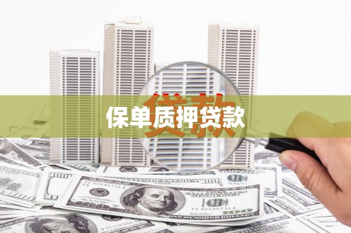 双江保单质押贷款