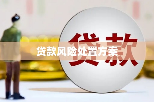 崇信贷款风险处置方案