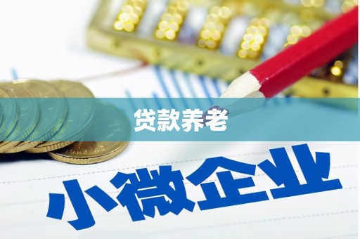 安达贷款养老