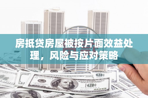 隆德房抵贷房屋被按片面效益处理，风险与应对策略