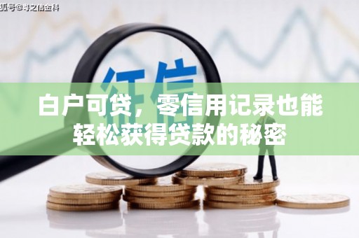 娄星白户可贷，零信用记录也能轻松获得贷款的秘密