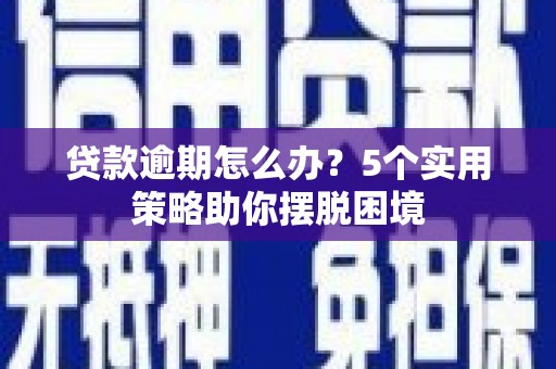 娄星贷款逾期怎么办？5个实用策略助你摆脱困境