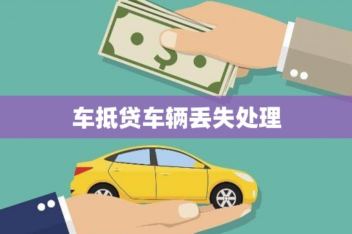 滨海车抵贷车辆丢失处理