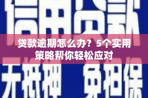 沅陵贷款逾期怎么办？5个实用策略帮你轻松应对