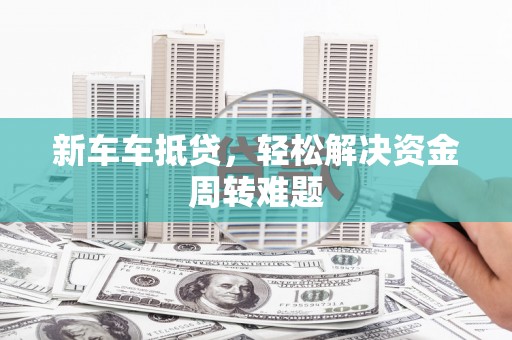 四湖新车车抵贷，轻松解决资金周转难题