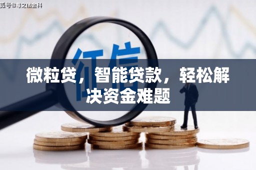温泉微粒贷，智能贷款，轻松解决资金难题