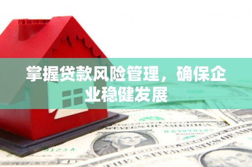 巫山掌握贷款风险管理，确保企业稳健发展
