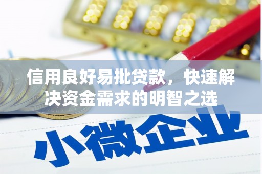 怒江信用良好易批贷款，快速解决资金需求的明智之选
