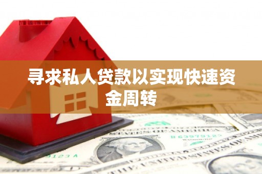 新兴寻求私人贷款以实现快速资金周转