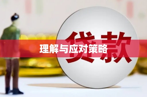 巴林右旗理解与应对策略