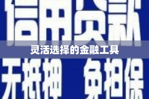 汨罗灵活选择的金融工具