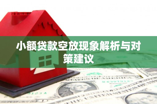 朝阳小额贷款空放现象解析与对策建议