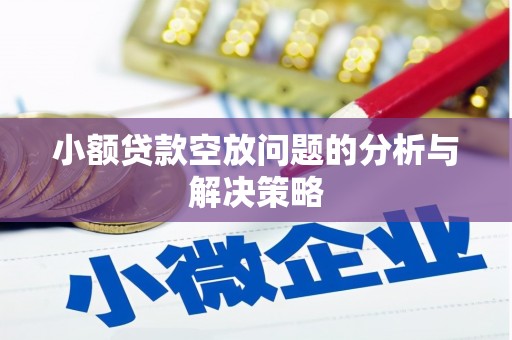 东源小额贷款空放问题的分析与解决策略