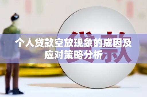 宝塔个人贷款空放现象的成因及应对策略分析