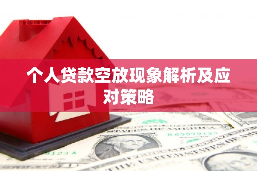 宝塔个人贷款空放现象解析及应对策略