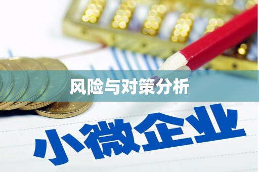 米东风险与对策分析