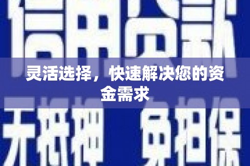 鲤城灵活选择，快速解决您的资金需求