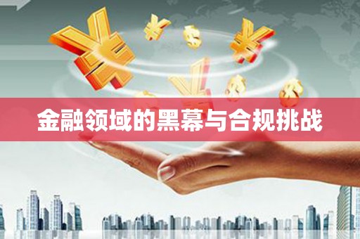 崇安金融领域的黑幕与合规挑战
