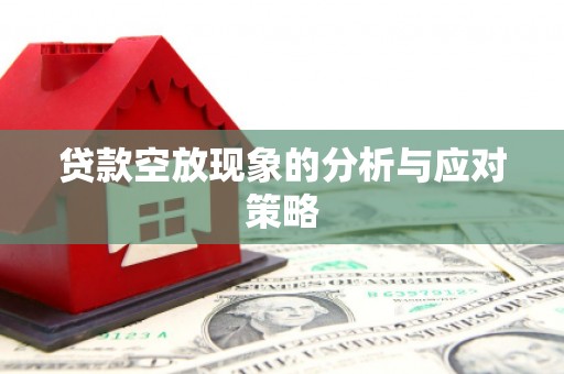 枞阳贷款空放现象的分析与应对策略