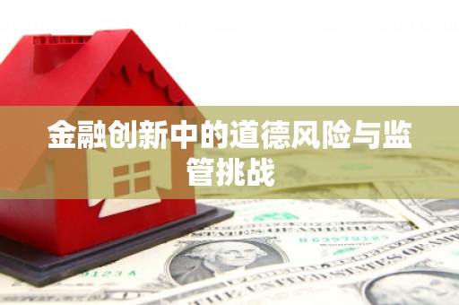 深水埗金融创新中的道德风险与监管挑战
