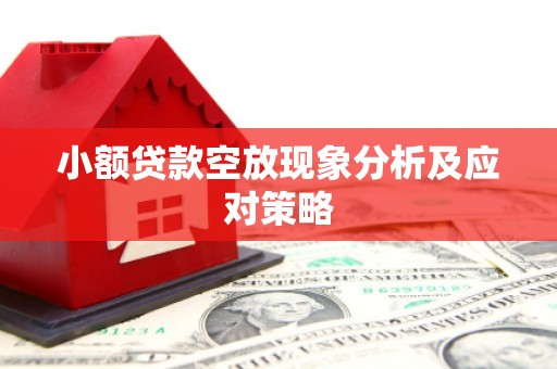 深水埗小额贷款空放现象分析及应对策略
