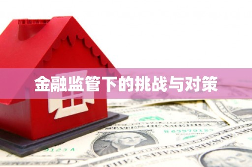鄂州金融监管下的挑战与对策