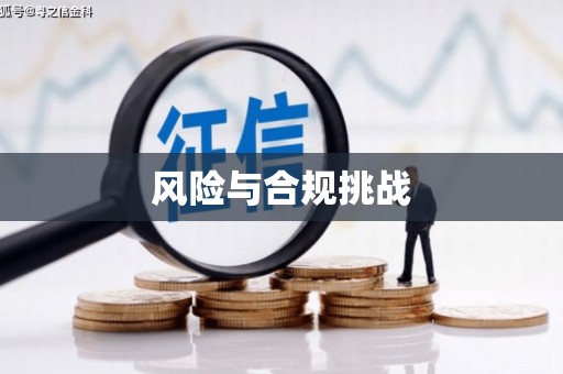鄂州风险与合规挑战