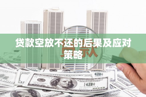 枞阳贷款空放不还的后果及应对策略