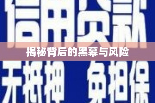 石渠揭秘背后的黑幕与风险