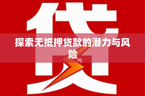 单县探索无抵押贷款的潜力与风险