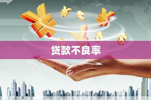 遂溪贷款不良率